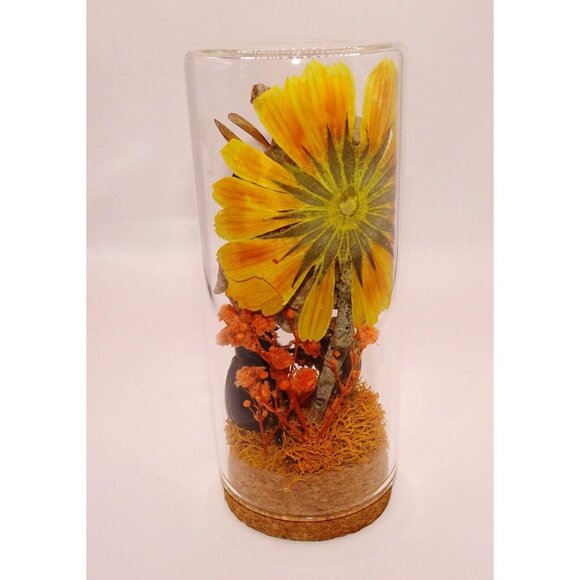 Wasp Nest Hornet Bees Rhinoceros Beetle Cicada Skin Oddity Jar flowers taxidermy - Picture 7 of 13